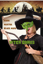 Halloween green witch mask picture