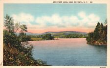 Postcard NY Oneonta New York Goodyear Lake Posted 1949 Vintage PC J2218 picture