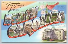 Greetings From North Carolina Large Letter Cardinal State Bird Raleigh Postcard picture