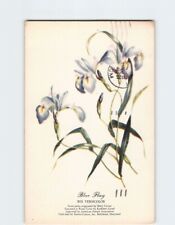 Postcard Blue Flag Flower picture