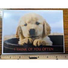 Vtg Yellow Golden Lab Puppy Dog Thinking of You Guideposts Greeting Card Unused picture