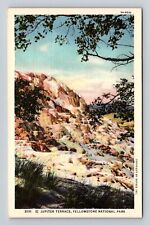 Yellowstone National Park, Jupiter Terrace, Series #31111 Vintage Postcard picture