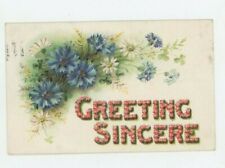 Vintage Postcard  GREETING SINCERE  BLUE & WHITE FLOWERS   EMBOSSED  POSTED 1909 picture