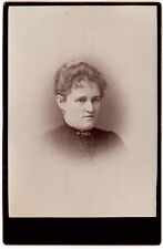 CIRCA 1880s CABINET CARD WHEELER GORGEOUS LADY IN DRESS OTTAWA ILLINOIS picture