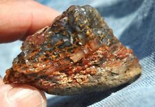 Fossil Dinosaur “Little Golden Rock Candy” Jurassic Jewelry Petrified Stone 49gr picture