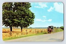 Postcard Indiana Elkhart IN Horse Drawn Rig Carraige 1960s Unposted Chrome picture