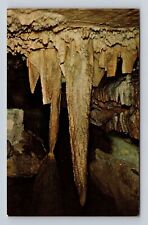Chattanooga TN- Tennessee, The Onyx Jungle, Deep Underground, Vintage Postcard picture