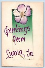Luana Iowa IA Postcard Greetings Embossed Glitter Flower c1910 Vintage Antique picture