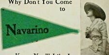 C.1914 Navarino, WI. Attached Fabric Pennant. Flag. Beautiful Woman. VTG picture
