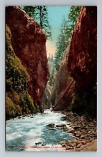 Columbia River OR-Oregon, Oneonta Gorge, Scenic View, Vintage Postcard picture