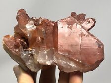 Red Quartz Crystal Cluster Point Morocco 14.3oz N40 picture
