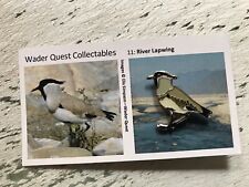 RSPB interest RIVER LAPWING Wader on Card. Enamel Pin Badge Excellent Quality picture