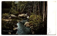1905 A Maine Trout Stream, Man Fishing in a Secluded Forest Stream Postcard picture