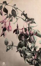 Vintage Postcard 1907 Pink Flowers Plant Leaves Bloom Painting Artwork picture