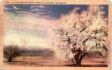 1940s CALIFORNIA FRUIT TREE IN RADIANT BLOSSOM PAINTED SKY LINEN POSTCARD 42-246 picture
