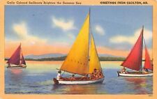 Cecilton Maryland~Colored Sailboats on Summer Sea~1952 Linen Postcard picture