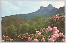 Linville North Carolina, Grandfather Mountain Scenic View, Vintage Postcard picture