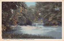 Asheville NC North Carolina Swannanoa River French Broad River Vtg Postcard C14 picture