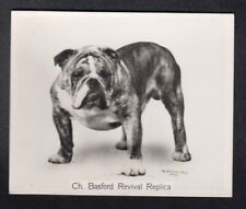 Vintage 1938 CHAMPION DOGS Card BULLDOG 