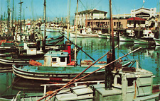 San Francisco CA California, Fisherman's Wharf, Painted Boats, Vintage Postcard picture