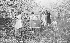 Girls Picking Apple Blossoms Winchester Virginia VA - 8x10 Reprint picture