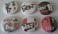 6 The Beat button badges Ska Specials Two Tone English UK Ska Selecter Madness picture