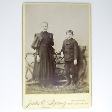 Vintage Cabinet Card Photo Victorian Portrait  Sister & Brother Antique NY  picture