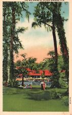 Postcard FL The Big Spring at Silver Springs Florida 1937 Linen Vintage PC J8942 picture