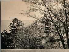 1920s NEW WAKAURA JAPAN FUTAGOSHIMA ISLANDS POSTCARD P1557 picture
