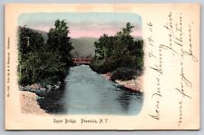 Upper Bridge Phoenicia New York NY 1906 Postcard picture