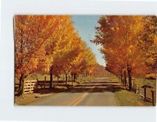 Postcard Autumn Country Road Scene picture
