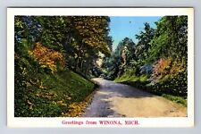 Winona MI-Michigan, Scenic Road Greetings, Antique Souvenir Vintage Postcard picture