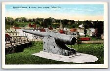 Galena Illinois~Spanish Cannon Grant Park Trophy~Vintage Postcard picture