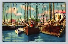 Gloucester MA-Massachusetts, Forest Of Masts, Antique, Vintage Souvenir Postcard picture