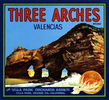 THREE ARCHES VALENCIAS  Villa Park Orange Fruit Crate Label Art Print 5x5 picture