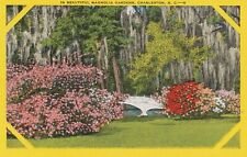 C1940s In Beautiful Magnolia Gardens, Charleston, South Carolina, 1280 picture