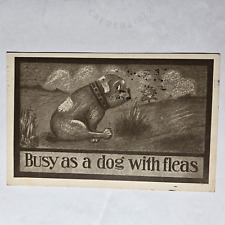 Busy As A Dog With Fleas Comic Postcard Dog Scratching 1914 Battle Creek MI picture