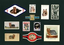 YORKSHIRE TERRIER MOUNTED SET VINTAGE DOG COLLECTIBLE CARDS AND BANDS GREAT GIFT picture