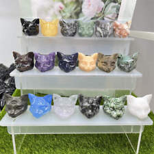 10pc random mix Natural Quartz Crystal stone cat skull hand carved  Crystal picture