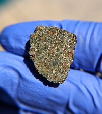 Meteorite**Hassi Messauod 001, Nakhlite Martian**3.669 grams, W/Fusion Crust picture