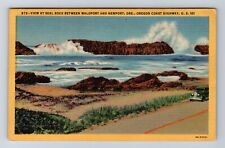 Newport OR-Oregon, Seal Rock Between Waldport, Antique, Vintage c1949 Postcard picture