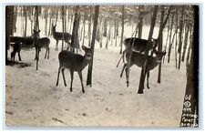 c1940's Hak Diamond Point Deer Winter Bemidji Minnesota MN RPPC Photo Postcard picture