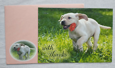 Labrador Retriever Puppy With Thanks Blank Inside Card Yellow Running Flower picture