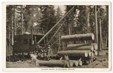 Logging Scene in Southern Oregon ca.1910 picture
