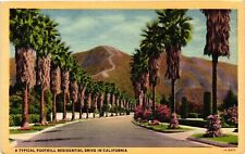 Vintage Postcard- A Typical Foothill Residential Drive, CA. Early 1900s picture