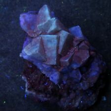 FLUORITE xls (SW & LW fluorescent)  - Middle Mountain -  N.Conway, N.H. picture
