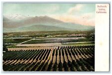 c1905 Birds Eye View Of Redlands Valley California CA Unposted Antique Postcard picture