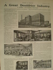 Photo article (advert) Odol - Lingner factory Dresden Germany mouthwash 1906 picture