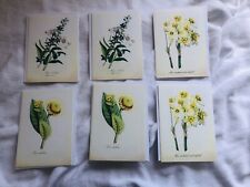 FLOWER STATIONARY SIX LETTER SET- SIX FLOWER MAILING CARDS picture