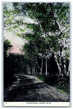 1946 A Country Road Trees Scene Jaffrey New Hampshire NH Posted Vintage Postcard picture